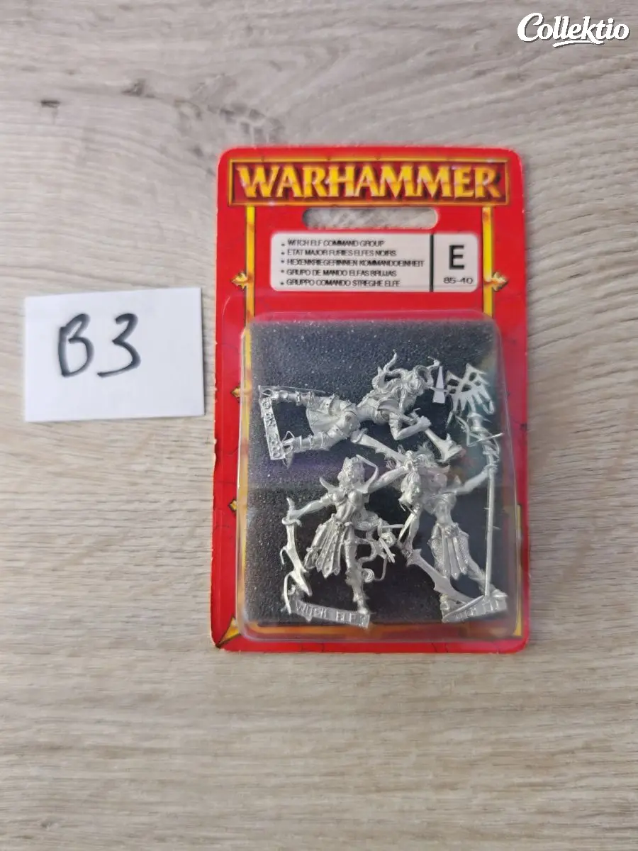 Warhammer Blister Dark Elf Witch Elves Command group Metal